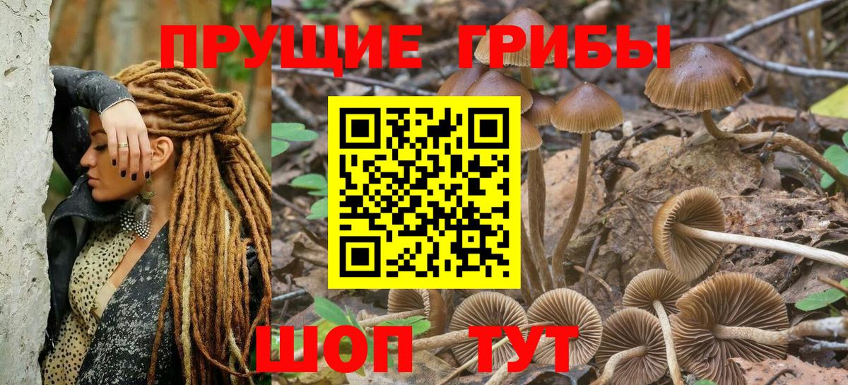 Красногорск  Галлюциногенные грибы GOLDEN TEACHER  Псилоцибиновые грибы Cubensis  Вход с VPN 