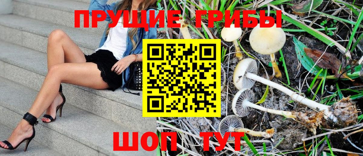 Псилоцибиновые грибы MAGIC MUSHROOMS Красногорск